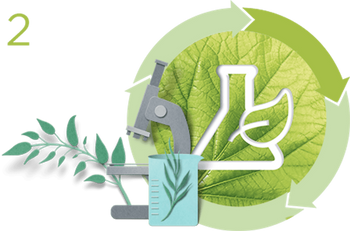 Green Sciences Formulas