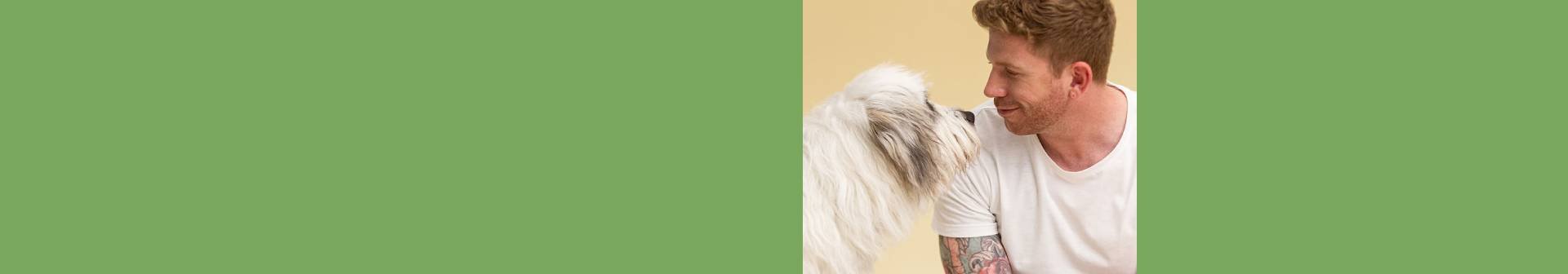 DMI_Garnier_Header_Banner_Bunny
