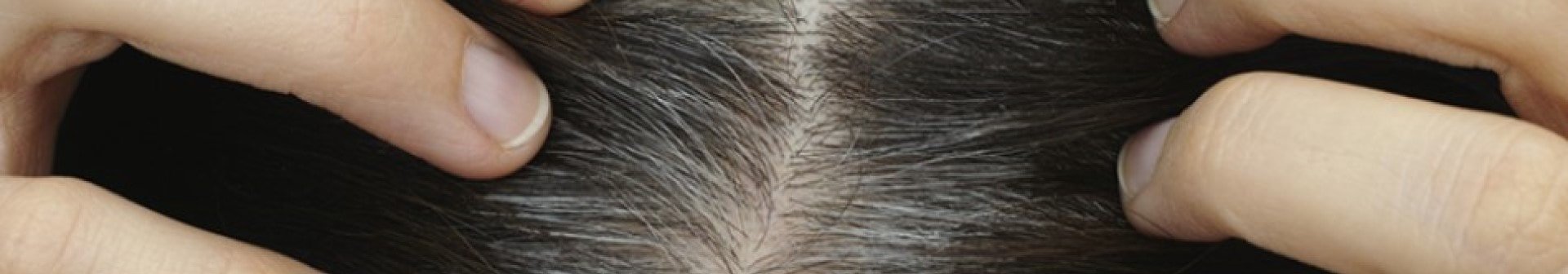 Strähnen färben graue Haare grau
