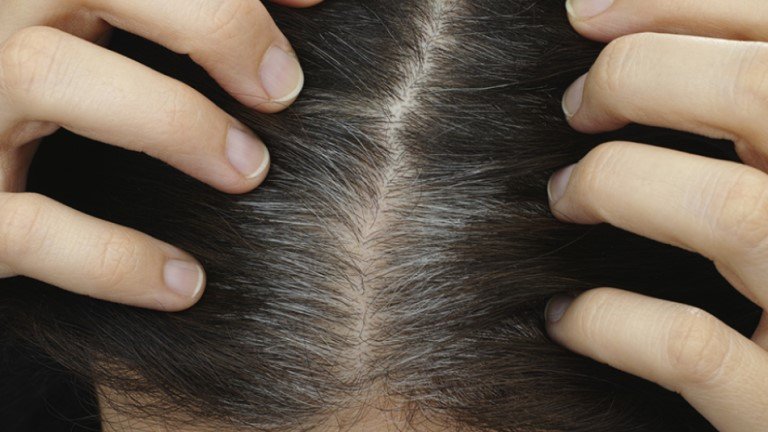 Colour_For_Grey_Hair