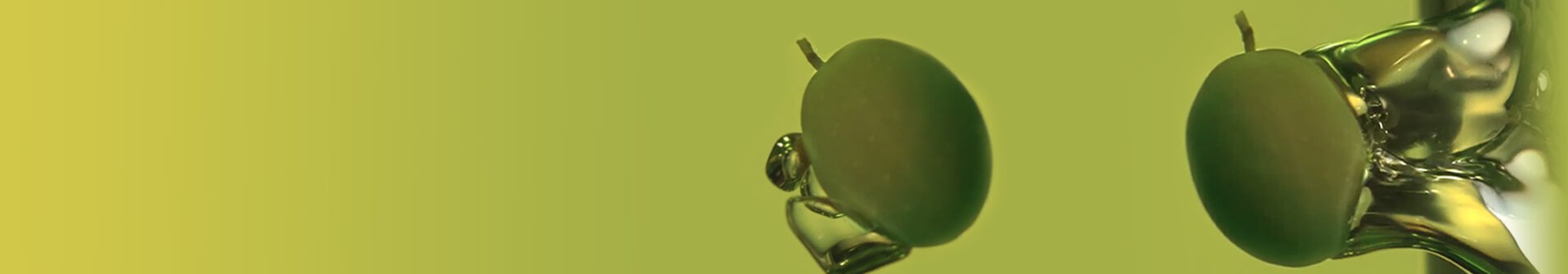 Ingredients-Slider-2