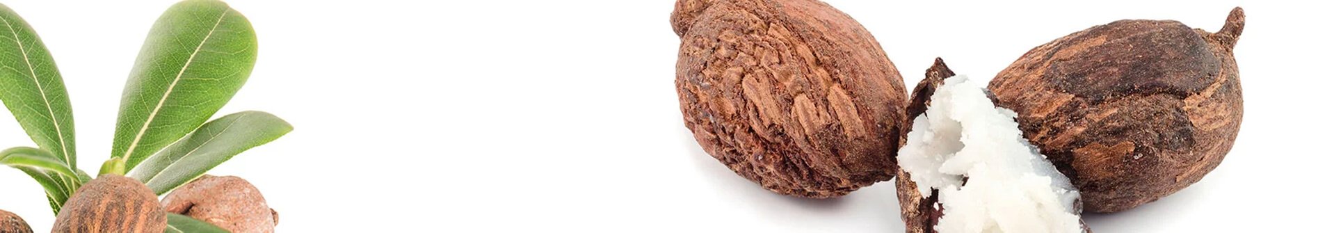 Ingredients-Slider-3