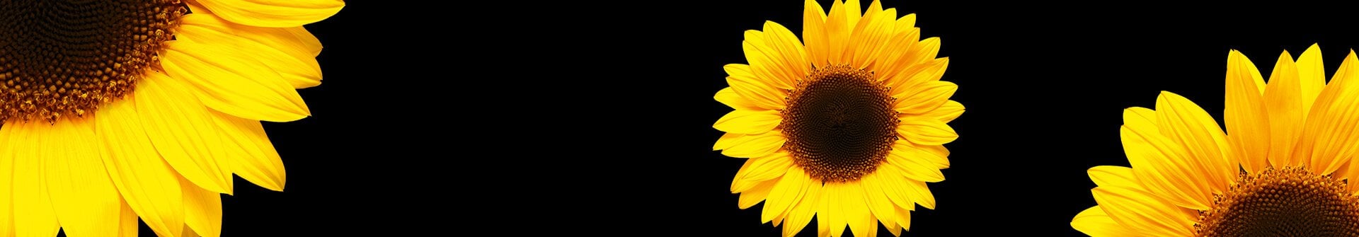 Ingredients-Slider-1