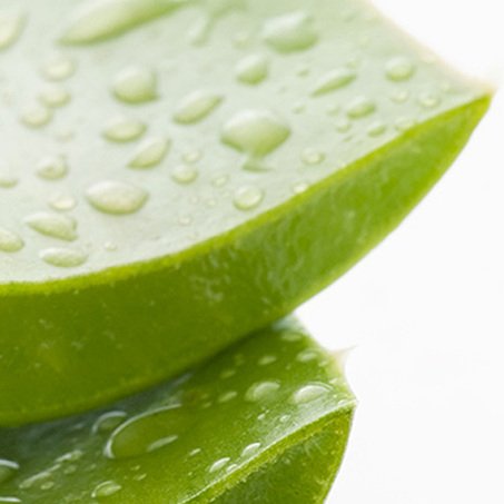 Garnier Inhaltsstoff Aloe Vera