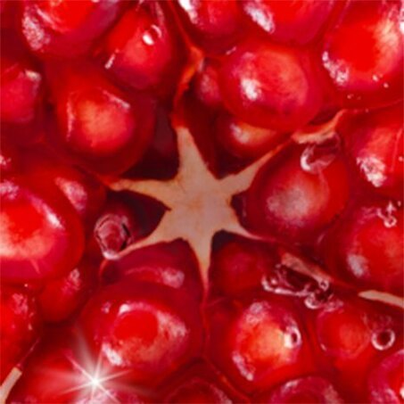 Granatapfel
