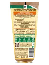 Honey-No-Rinse-Conditioner-Back