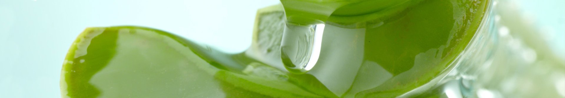 Ingredient Coco and Aloe Vera