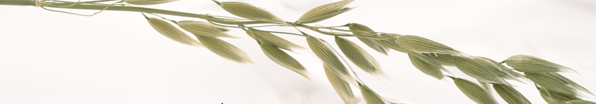 Ingredient Oat
