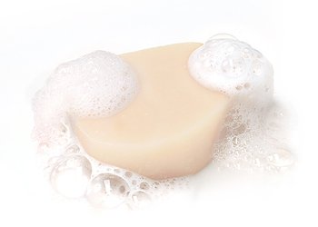 Solid Shampoo