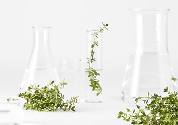 01 tee gegen pickel 800x565