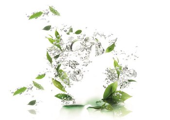 02 tee gegen pickel 800x565